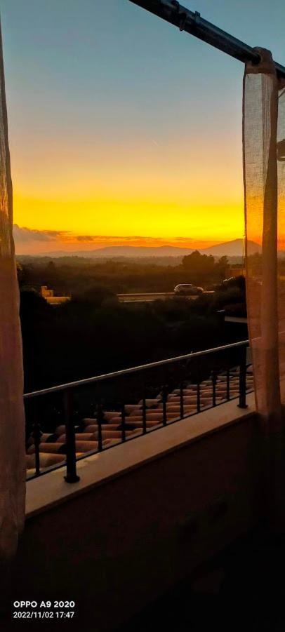 אולמדו Sardinia Guest House מראה חיצוני תמונה